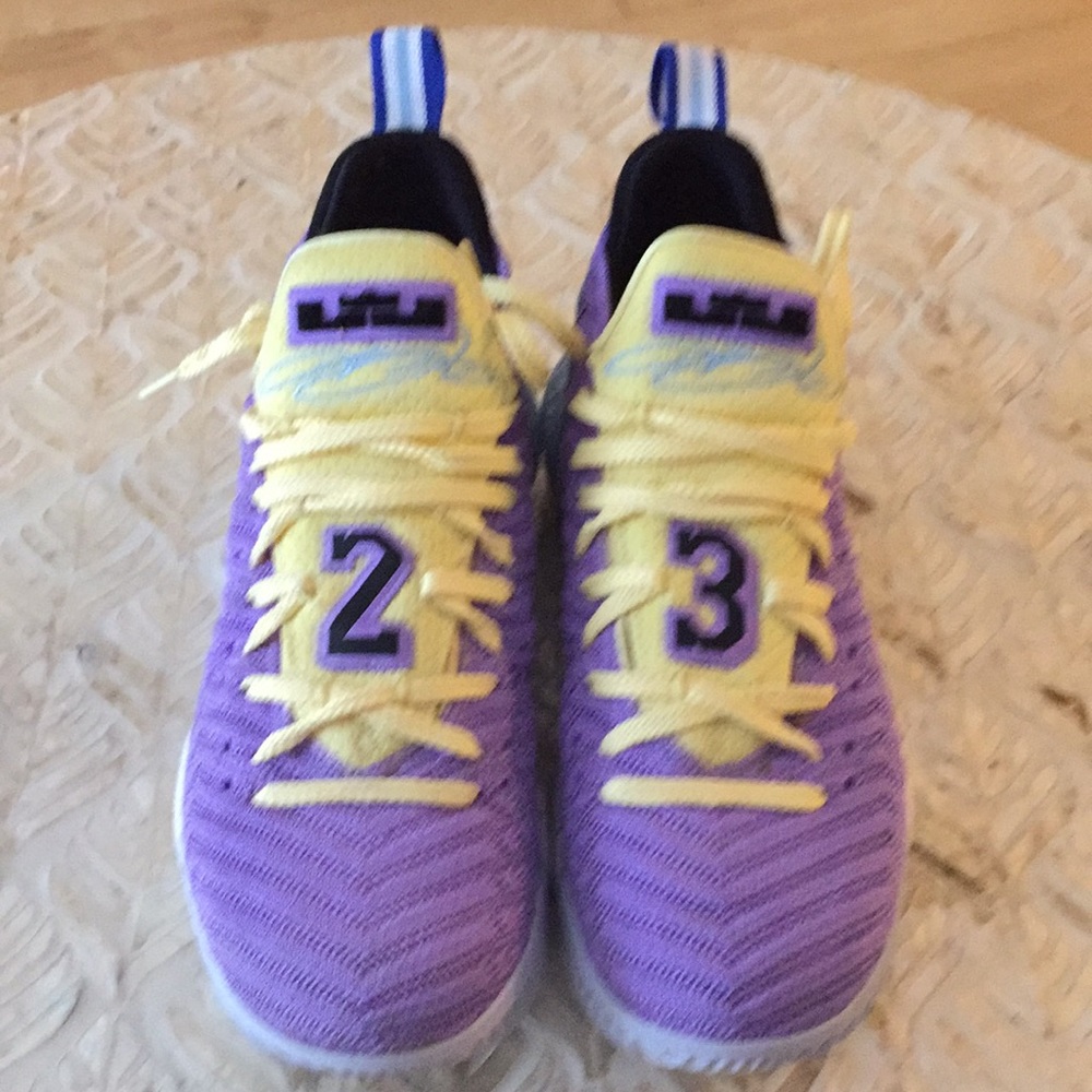 Lebron James Nike  shoes size 8.5